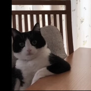 Данил Колбасенко