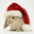 XmasBunny avatar