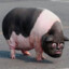 skibidiff's avatar