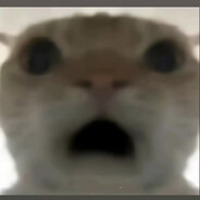 ---哈基咪分界线---