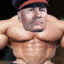 Muscleini