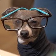 Ren got hacked