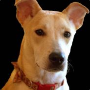 radioman8414 avatar