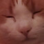 St4lk3rBuNNy