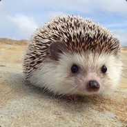 Hedgehogs99