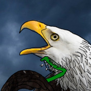 R7ser - steam id 76561197960471039