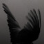 RwoLy's avatar