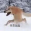 焯