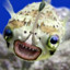 Glide&#039;sTerrariaJOSEDONTUNADD