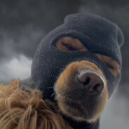 你有追追我也有