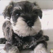 在你的BGM里锤爆你@9722