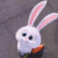 6668