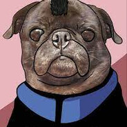 Mohawk Pug