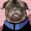 Mohawk Pug
