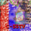 C-SSTV MANAGER