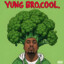 yung_bro.cool. mixtape 2010