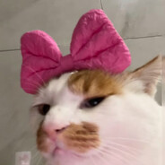 伤害男孩的事我做不到