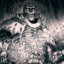vilvih77's avatar