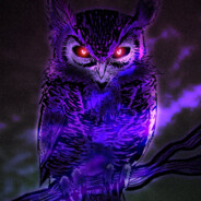 owl