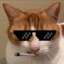 thegavin007