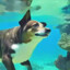 dogfish