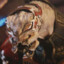 Carmine065
