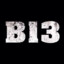 B13_11