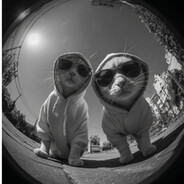 (‿Y‿)Ɑ͞ ̶͞ ̶͞ ̶͞ ل