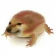 LEO Chen 【白给专家】