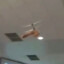 Flying dildo