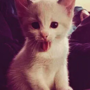 __ - steam id 76561198376491186