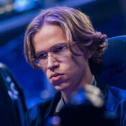 Бархатные_тяги