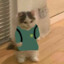 Dan