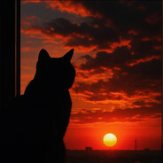 小猫吃饭一直响