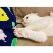 小刘每天都很困