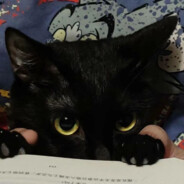 我知道你很急 但你先别