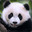 Normal Panda's avatar