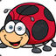 Ladybird