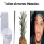 Toilet ananas nastas