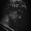 Achilles