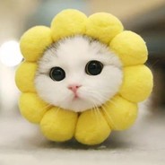 赛斯特矿物研究大使