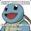 Mr.Squirtle