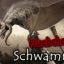 Schwamme