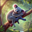 Killer koala