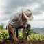 El agricultor