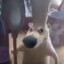 何
