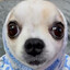 Rose Amelle's avatar