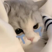 隔壁村的王大妈