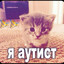я аутист