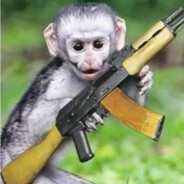 M0nkey
